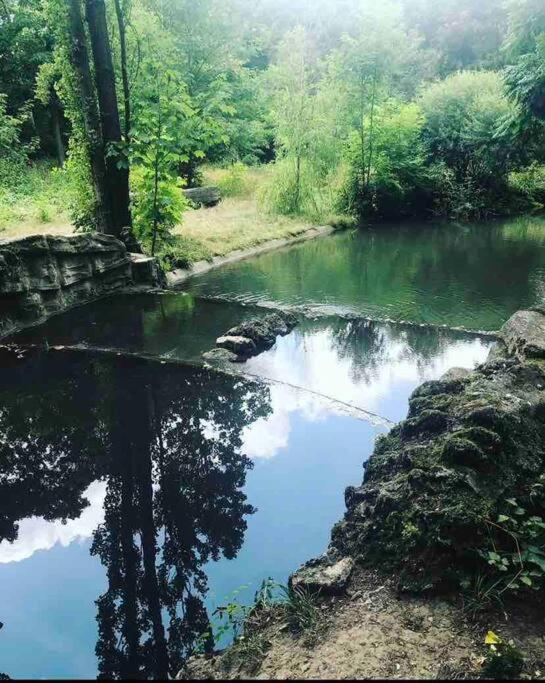 Le Cocon 56 Lägenhet Vincennes Exteriör bild